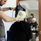 Business 3 image MOS HAIR & BEAUTY Hairdressers in Brighton Ea