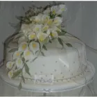 Business 3 image MOUNT FARM Farmers in Northampton No