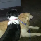 Business 3 image NATIONWIDE BUILDING SOCIETY Building Societies in Northampton No