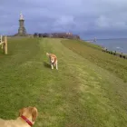 Business 2 image NATIONWIDE BUILDING SOCIETY Building Societies in Northampton No