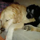 Business 1 image NATIONWIDE BUILDING SOCIETY Building Societies in Northampton No