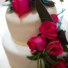 Business 1 image NEIL R MCLEAN CONSULTANT PLASTIC SURGEON Cosmetic Surgery in Newcastle Upon Tyne Ty