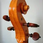 Business 1 image NEW LOOK Ladies Clothes Shops in Plymouth De