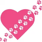 Business 3 image NEW PRIORY VETS BRIGHTON Veterinary Surgeons in Brighton Ea