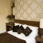 Business 3 image NEW STEINE HOTEL Travel & Tourism in Brighton Ea