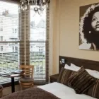 Business 4 image NEW STEINE HOTEL Travel & Tourism in Brighton Ea