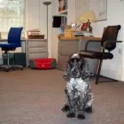 Business 10 image NEXUS CARPET LTD Office Design, Planning & Management in London Gr