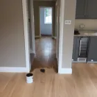 Business 55 image NORFLOOR LTD Home & Garden in Orpington Ke