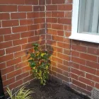 Business 13 image NORTH EAST COMMERCIAL & DOMESTIC ELECTRICAL SERVICES LTD Solicitors in Newcastle Upon Tyne Ty