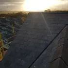 Business 3 image NWO ROOFING & BUILDING SERVICES Roofing Contractors in Plymouth De