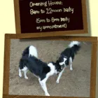 Business 3 image OLIVER ADAMS Retail Bakers in Northampton No