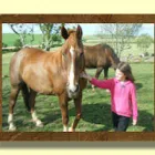 Business 4 image OLIVER ADAMS Retail Bakers in Northampton No