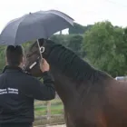 Business 2 image ONE STOP COMMUNITY STORES LTD Grocers & Convenience Stores in Leeds We