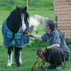 Business 3 image ONE STOP COMMUNITY STORES LTD Grocers & Convenience Stores in Leeds We