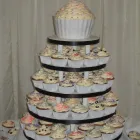 Business 20 image OPTIMUM NUTRITION Nutritionists & Dieticians in Northampton No