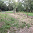 Business 9 image OVERSTONE PARK SCHOOL Independent Schools & Colleges in Northampton No