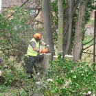 Business 13 image PARK AVENUE HOTEL Hotels & Inns in Belfast Co