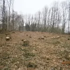 Business 14 image PARK AVENUE HOTEL Hotels & Inns in Belfast Co