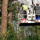 Business 17 image PARK AVENUE HOTEL Hotels & Inns in Belfast Co