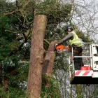 Business 18 image PARK AVENUE HOTEL Hotels & Inns in Belfast Co