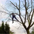 Business 5 image PARK AVENUE HOTEL Hotels & Inns in Belfast Co