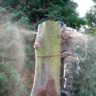 Business 6 image PARK AVENUE HOTEL Hotels & Inns in Belfast Co