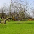 Business 9 image PARK AVENUE HOTEL Hotels & Inns in Belfast Co