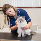 Business 17 image PARKER & CROWTHER VETS, FORMBY Veterinary Services in Liverpool Me