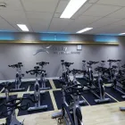 Business 8 image PARTNERSHIPS IN CARE Home Care Services in Northampton No