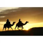 Business 1 image PAUL WILLIS LTD Office Equipment Servicing & Repair in Northampton No