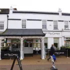 Business 1 image PAWS & CLAWS Pet Shops in Brighton Ea