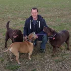Business 1 image PAWS 'N' CLAWS Dog Walking in Northampton No