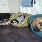 Business 5 image PENTAGON COMPUTER SOLUTIONS LTD Project Management Services in Newcastle Upon Tyne Ty