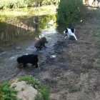 Business 6 image PENTAGON COMPUTER SOLUTIONS LTD Project Management Services in Newcastle Upon Tyne Ty