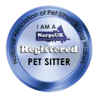 Business 1 image PENTAGON COMPUTER SOLUTIONS LTD Project Management Services in Newcastle Upon Tyne Ty