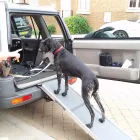 Business 2 image PENTAGON COMPUTER SOLUTIONS LTD Project Management Services in Newcastle Upon Tyne Ty