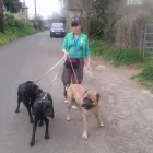 Business 3 image PENTAGON COMPUTER SOLUTIONS LTD Project Management Services in Newcastle Upon Tyne Ty