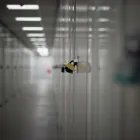 Business 1 image PERSONAL STORAGE NOTTINGHAM (2002) LTD Storage in Nottingham No