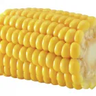 Business 4 image PERSONNEL SELECTION Recruitment Consultants in Brighton Ea