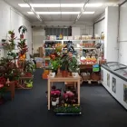 Business 3 image PETALS & PETS Shopping & Retail in Northampton No