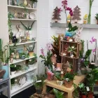 Business 5 image PETALS & PETS Shopping & Retail in Northampton No