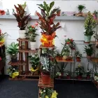 Business 7 image PETALS & PETS Shopping & Retail in Northampton No