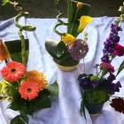 Business 11 image PETALS & PETS Shopping & Retail in Northampton No