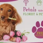 Business 12 image PETALS & PETS Shopping & Retail in Northampton No