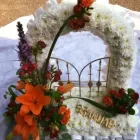 Business 14 image PETALS & PETS Shopping & Retail in Northampton No