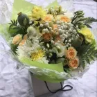 Business 15 image PETALS & PETS Shopping & Retail in Northampton No