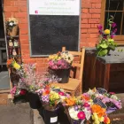 Business 18 image PETALS & PETS Shopping & Retail in Northampton No