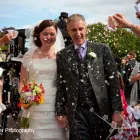 Business 3 image PETS CORNER Pet Shops in Brighton Ea