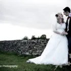 Business 5 image PETS CORNER Pet Shops in Brighton Ea