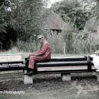 Business 6 image PETS CORNER Pet Shops in Brighton Ea